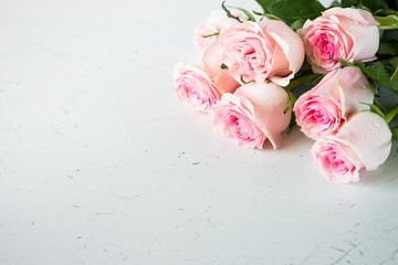 Obraz na płótnie Canvas Pink rose at white stone table.