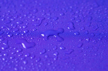 Water droplets on a bright background