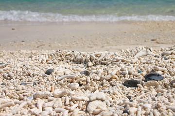 White coral sand and beach