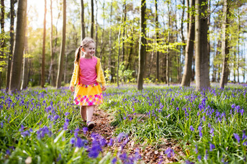 Child with bluebell flowers in spring forest