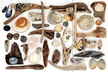 Abstract Beach Art. With seashells, driftwood and pebbles forming a background.