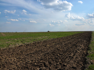 
On the tractor with friezes preparing the area for planting sugar beets