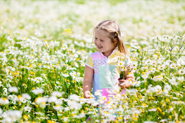 Naklejka na ściany i meble Little girl picking flowers in daisy field