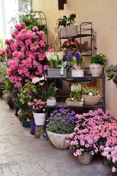 vasi di fiori nel cortile di un giardino