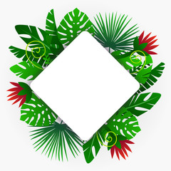 Fototapeta na wymiar frame with tropical plants. Vector flower background