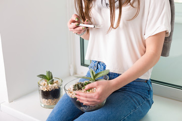 Flower pots with succulents