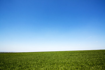 Obraz premium Landscape field and sky
