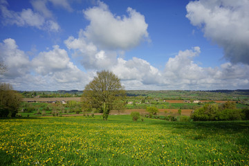 Paysage Campagne 179