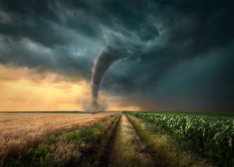 Tornado struck on agricultural fields at sunset