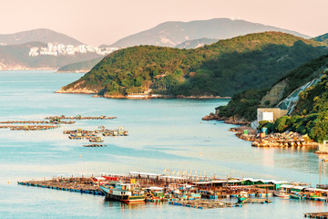 Fish farming rafts in the bay of Sok Kwu Wan fisherfolks village viewed from the observation deck of the Family Walk trail on Lamma Island at sunset, Hong Kong. Fresh seafood delivery