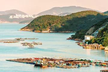 Fotobehang Fish farming rafts in the bay of Sok Kwu Wan fisherfolks village viewed from the observation deck of the Family Walk trail on Lamma Island at sunset, Hong Kong. Fresh seafood delivery © Wilding