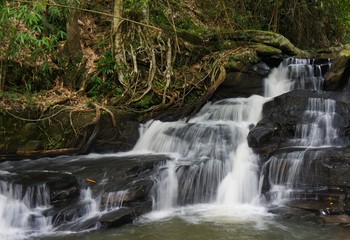 SONY DSC