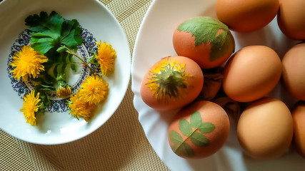 Coloring beautiful Easter eggs with leaf and flower pattern as decoration