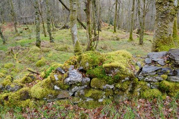 View of Scottish Highlands.