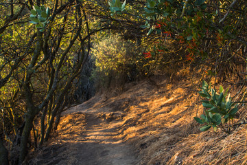 Sendero