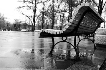 Benches stand in the park