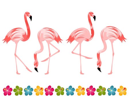 Flamingo Birds with Hibiscus Border