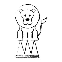 lion on stool circus or carnival icon image vector illustration design 