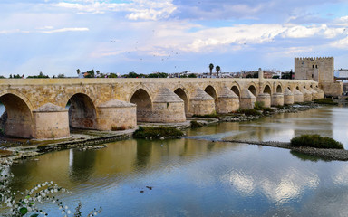 Fototapeta premium The Roman Bridge over the Guadalquivir River in Cordoba, Andalusia, Spain