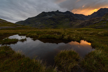 Fototapeta premium Moorland