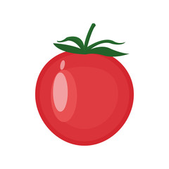 tomato vegetable icon over white background. colorful design. vector illustration