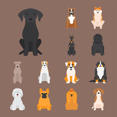 Funny cartoon dog character bread cartoon puppy friendly adorable canine vector illustration.