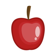 apple fruit icon over white background. colorful design. vector illustration