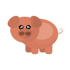 pig animal cartoon icon over white background. colorful design. vector illustration