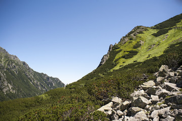 Polish mountains valley of five lakes. National Park in Zakopane.