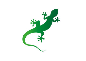 Gecko vector illustration isolated on a white background
