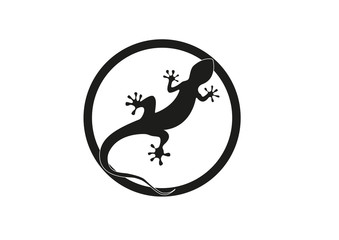Gecko vector illustration isolated on a white background