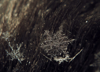 Snowflake crystal transparent laying at dark blue material at left corner