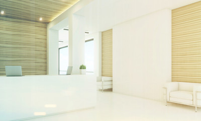 Light wood reception, armchair, side, toned