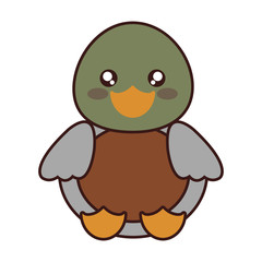 kawaii duck animal icon over white background. colorful design. vector illustration