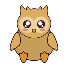 kawaii owl animal icon over white background. colorful design. vector illustration