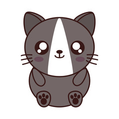 kawaii cat animal icon over white background. colorful design. vector illustration
