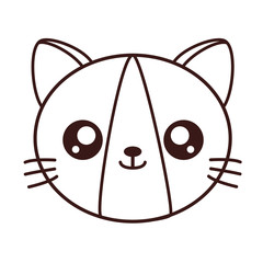 kawaii cat animal icon over white background. vector illustration