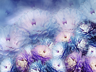 flowers chrysanthemum on blurry background. blue-violet  background. floral collage. flower composition.