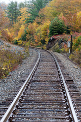 Fototapeta na wymiar Train Tracks through the Autumn Leaves