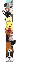 dogs sticking out their heads from narrow space