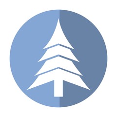 Fototapeta premium pine tree icon over blue circle and white background. vector illustration