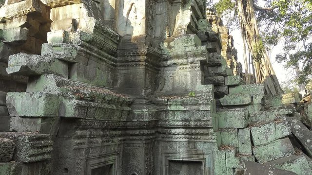 Ta Prohm temple in Angkor Wat, Siem Reap, Cambodia, tilt view, 4k
