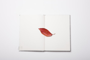 a book(note) with a leaf isolated white.