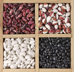 Various beans in box