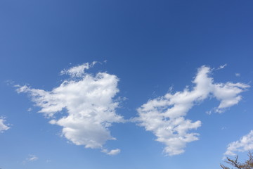 春の青空