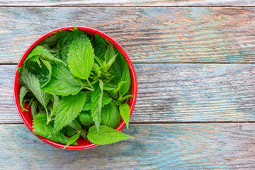 fresh nettle leaves in a red bowl on a wooden background with space for text, close-up top view