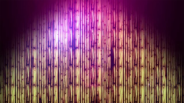 Grunge Sticks 1, Ultra HD, 3840x2160 Pixels, Seamlessly Looped Animation 

High Quality Quicktime animation Movie works with all Editing Programs, 

Simply Loop it for any duration
