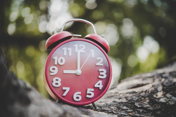 Close up of alarm clock on tree branch outside.
