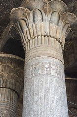Columns in an ancient egyptian temple
