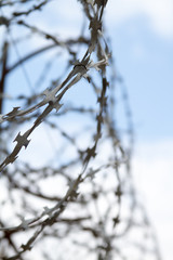 Barbed wire on sky background.
